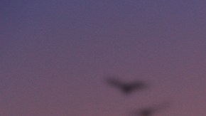 privacidad en una relación