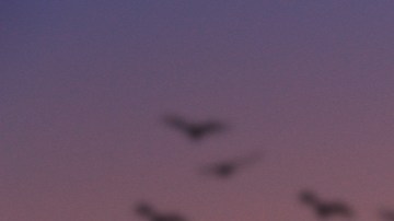 privacidad en una relación