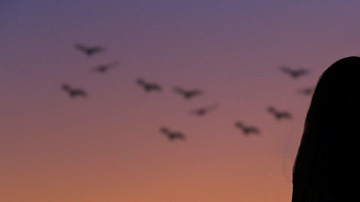 privacidad en una relación