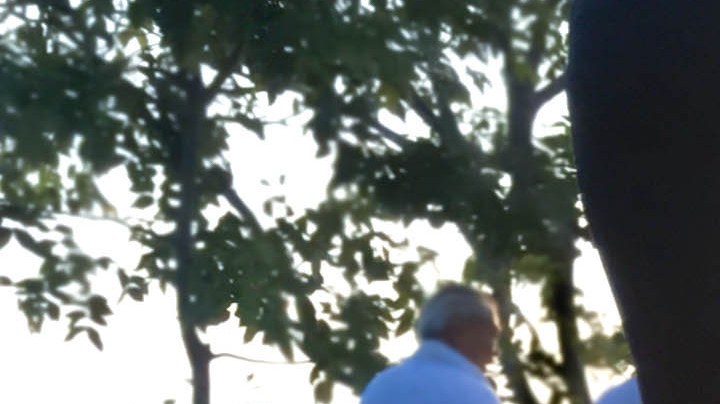 Expertos revelan cuál es el mejor momento para salir a caminar.