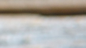 Cómo algunos alimentos pueden calmar tus síntomas de ansiedad.