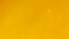 Cómo perfumar tu hogar usando semillas de limón.