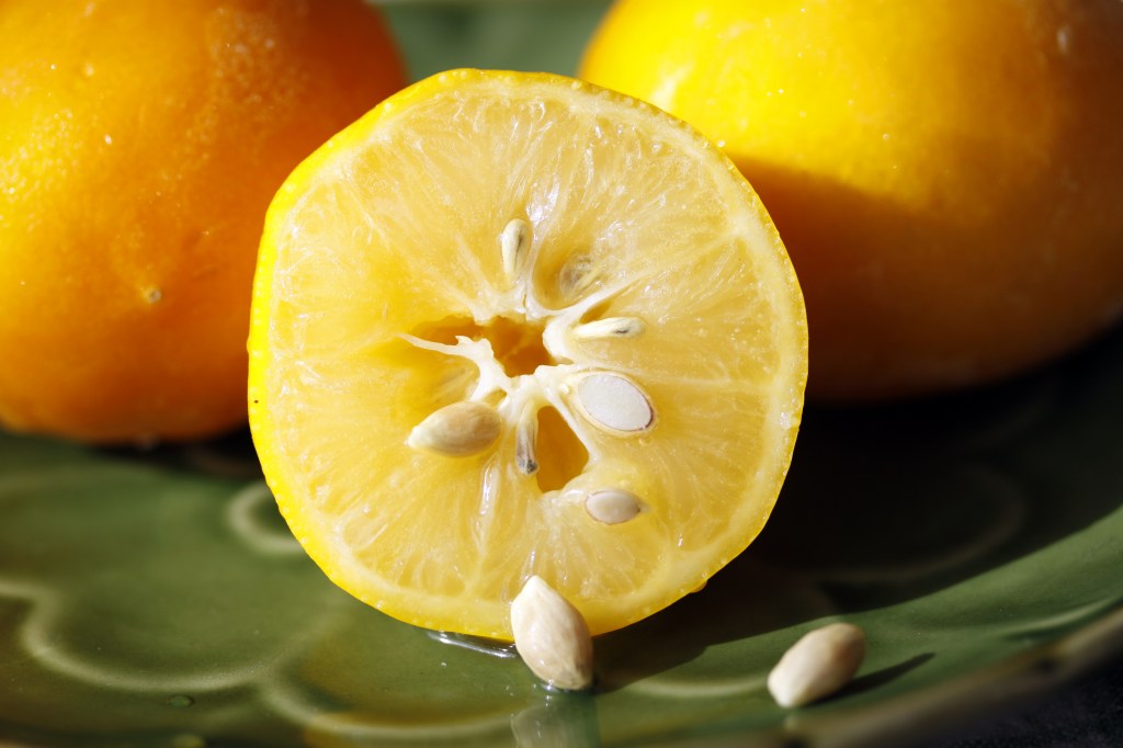 Cómo perfumar tu hogar usando semillas de limón.