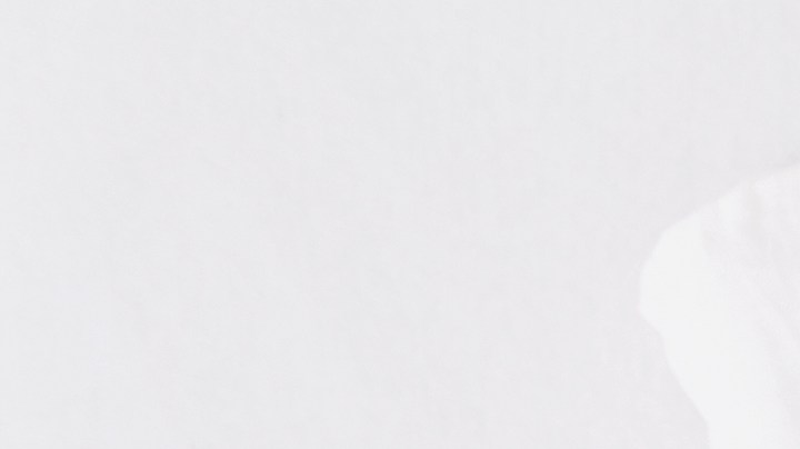 La razón por la que tienes más sexo con tu pareja al comienzo de la relación.