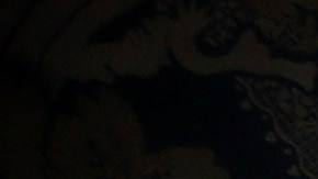 Harry Styles nos enseñó que está bien sentirnos solos