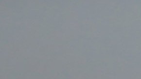 Las razones por las que no deberías acariciar a los gatos callejeros.