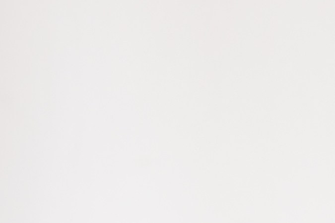 Árbol de caucho y otras plantas que absorven calor en tu hogar