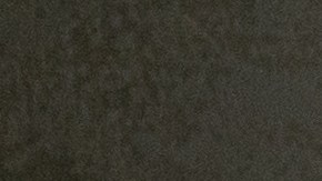 Árbol de caucho y otras plantas que absorben calor en tu hogar