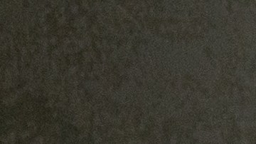 Árbol de caucho y otras plantas que absorben calor en tu hogar