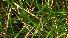 Cuáles son los tipos de calzados que no debes usar, según podólogo.