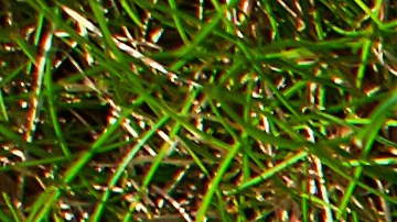 Cuáles son los tipos de calzados que no debes usar, según podólogo.