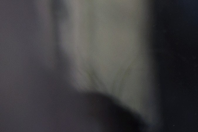 Cuáles son los dos factores que pueden provocarte cáncer de pulmón, aunque no fumes.