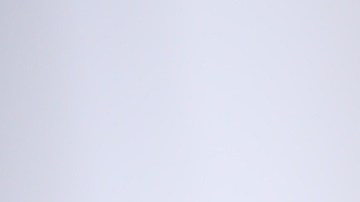 Expresiones, cosas y hábitos en casa que tu gato detesta.