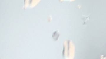 Cuál es el signo de depresión que no debes ignorar, según expertos.