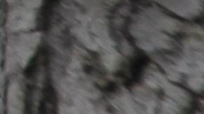 queja asertiva pareja