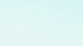 ir con mi pareja a todos los eventos sociales