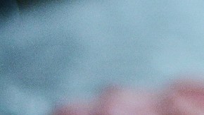 proteínas de baja calidad