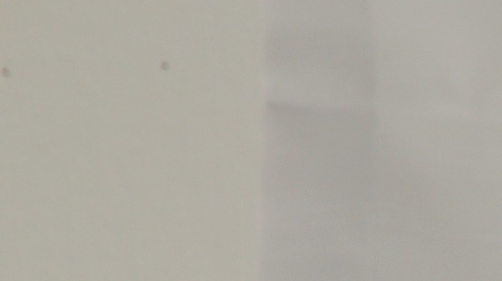 Qué plantas de interior puedes tener en casa para que siempre huela bien.