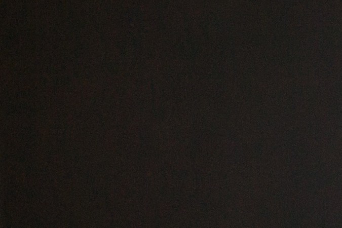 Árbol de caucho y otras plantas que absorben calor en tu hogar