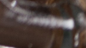 Cuáles son las cosas de tu cocina que debes botar de inmediato.