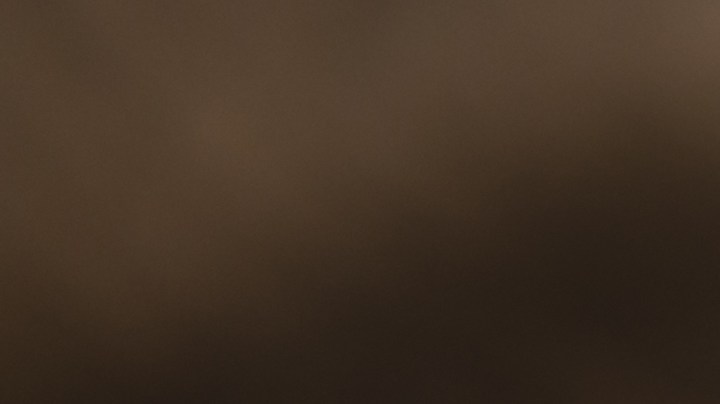 Usar stevia como sustituto del azúcar: cuán saludable es.