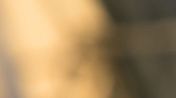 Cómo ocultar el "está escribiendo" en WhatsApp cuando discutes con tu pareja.