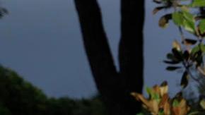 México, Guatemala, Bolivia y El Salvador países que celebran el Día de Muertos