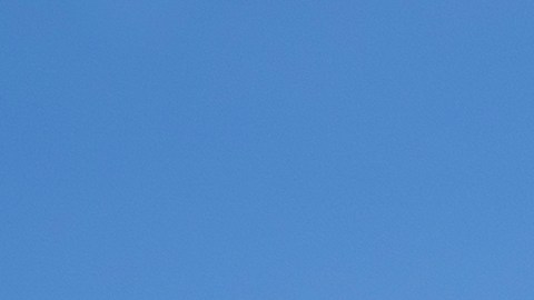 El comunicado de la FDA detalló el tipo de empaque y las fechas del producto que debieron ser retiradas por potencial riesgo en su consumo.