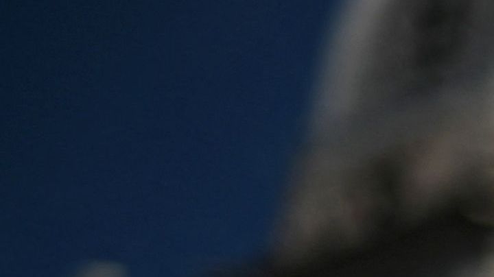 Alimentos que aumentan la libido: Jengibre, miel y fresas