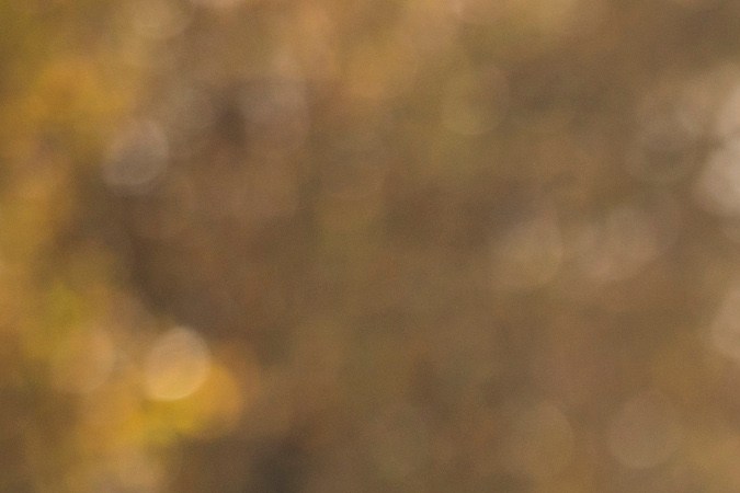 Pedimos parejas: estables, compañeras, socias y ¿no es mucho?