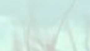 Sherlyn muestra cómo usar transparencias sin perder la clase ni elegancia