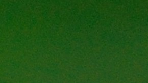 Cuán efectivo es el aceite de coco para eliminar las bacterias orales.