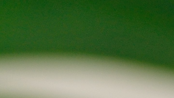 Cuán efectivo es el aceite de coco para eliminar las bacterias orales.