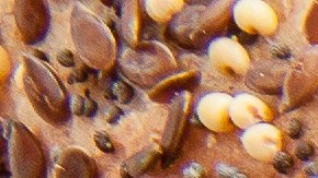 Cuáles son los alimentos que pueden darte más hambre, según nutricionistas.