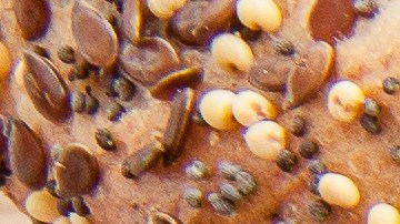 Cuáles son los alimentos que pueden darte más hambre, según nutricionistas.