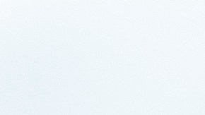 Las razones por las que no debes barrer las hojas de otoño que caen en tu patio.