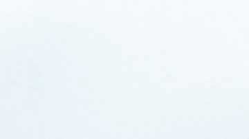 Las razones por las que no debes barrer las hojas de otoño que caen en tu patio.