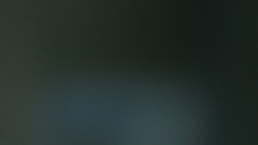 Remedios caseros para ahuyentar a los gatos que invaden tu jardín.