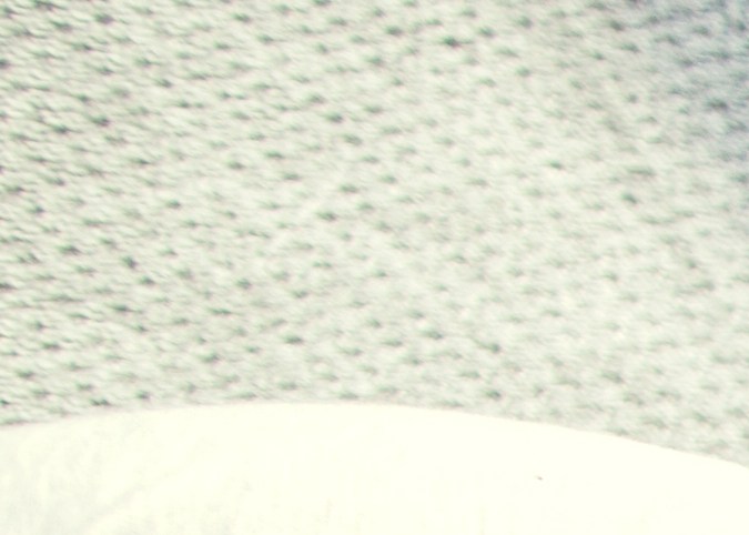 Cuáles son los detalles de un hombre que te ama cuando eres madre.