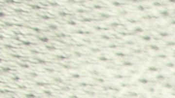 Cuáles son los detalles de un hombre que te ama cuando eres madre.