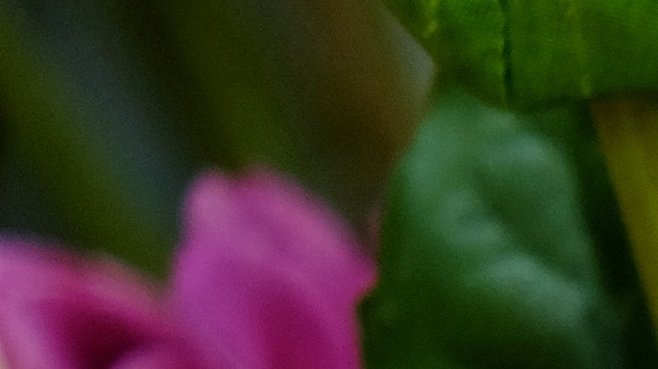 Cuáles son los detalles que hacen que tu hogar luzca mal.