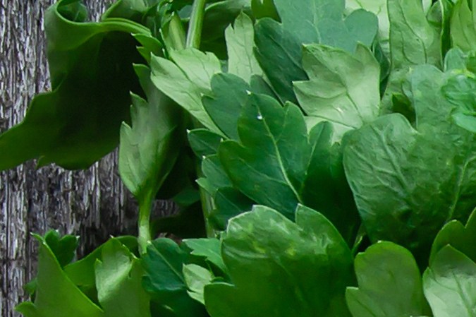 Cuán saludable es la dieta del caballo.