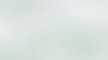 Cuán cierto es que puedes sufrir de dolor de cabeza por no tomar café.