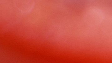 Cuán saludable son los huevos revueltos, estrellados y cocidos.