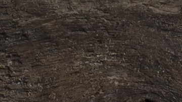 La razón por la que no debes comerte la piel del chorizo o la longaniza.