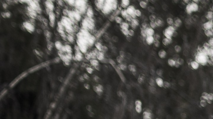 Ritual para protegerte de malas energías cuando vas a un cementerio.