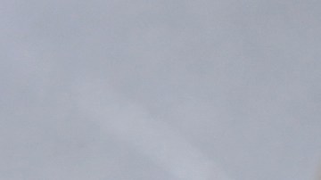 El garbanzo: un alimento antidepresivo y estimulante sexual