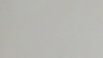 Ideas para colocar tu árbol de navidad si tienes gatos