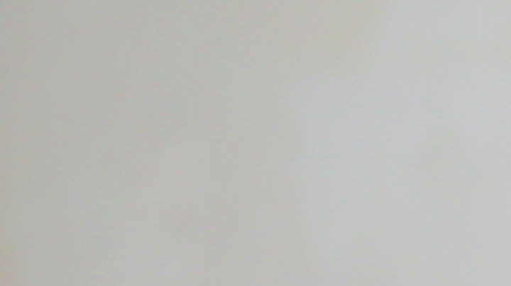 Ideas para colocar tu árbol de navidad si tienes gatos