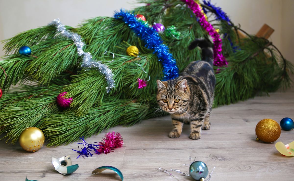 Ideas para colocar tu árbol de navidad si tienes gatos - Estar Mejor